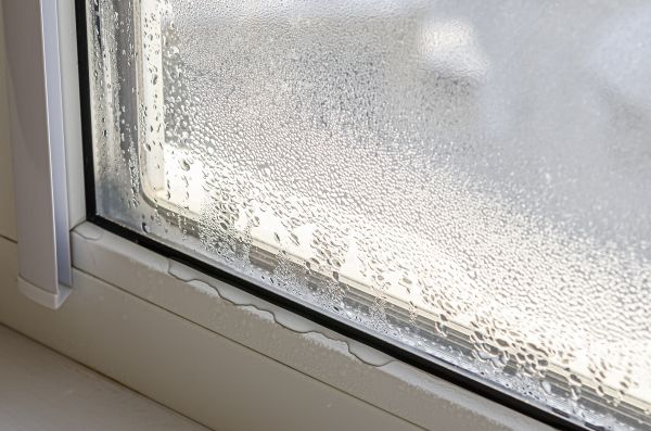 Cost of Leaky Window Repair in Zionsville
